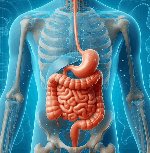 gastrointestinal